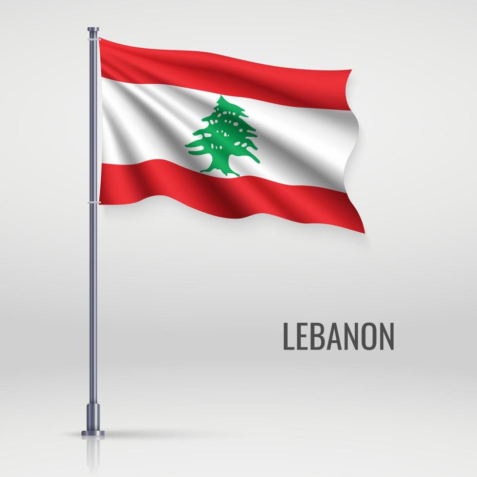Waving flag on flagpole vector