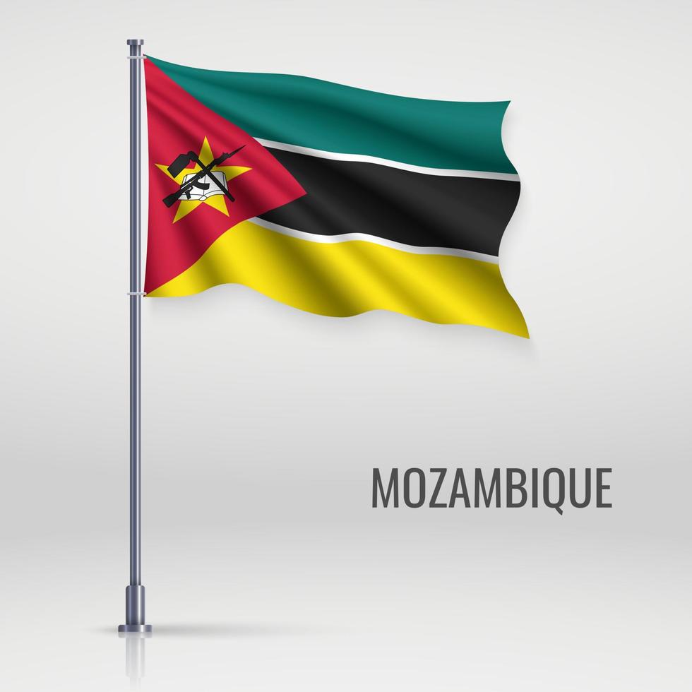 Waving flag on flagpole vector