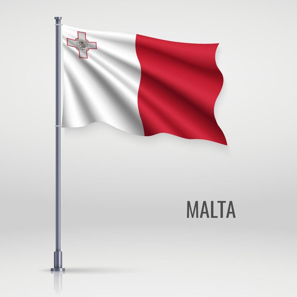 Waving flag on flagpole. vector