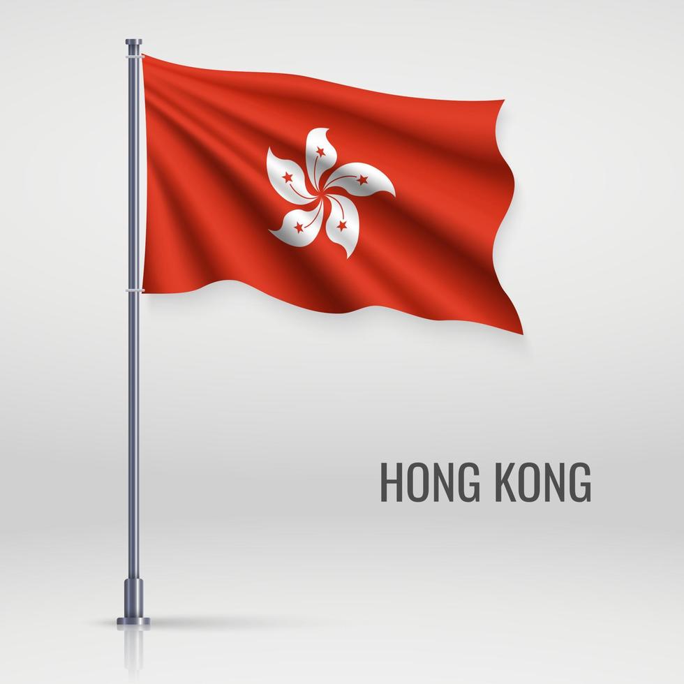 Waving flag on flagpole vector