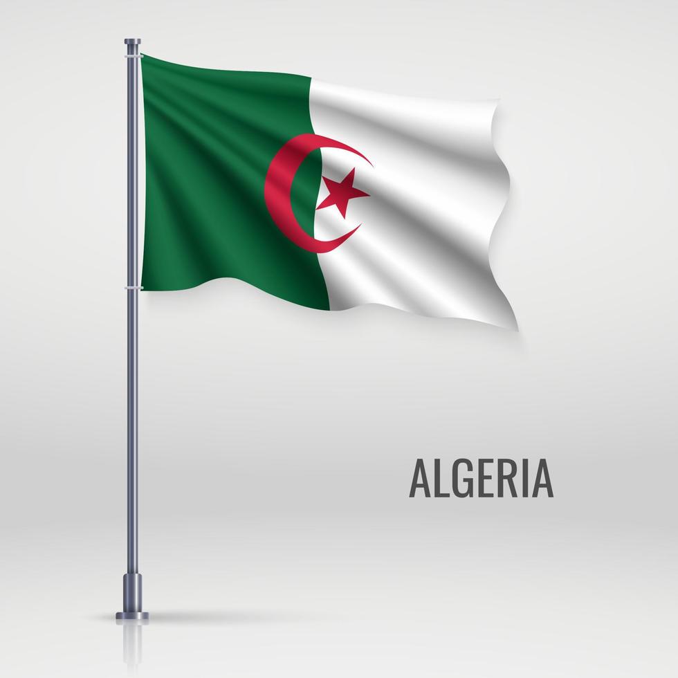 Waving flag on flagpole vector