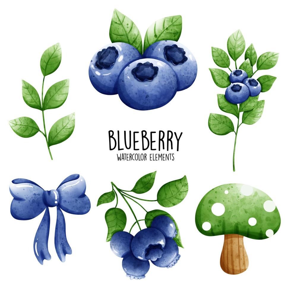 blueberry watercolor element. Vector illustration