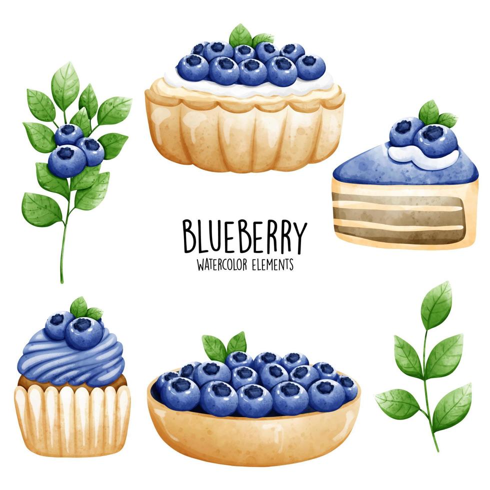 blueberry watercolor element. Vector illustration
