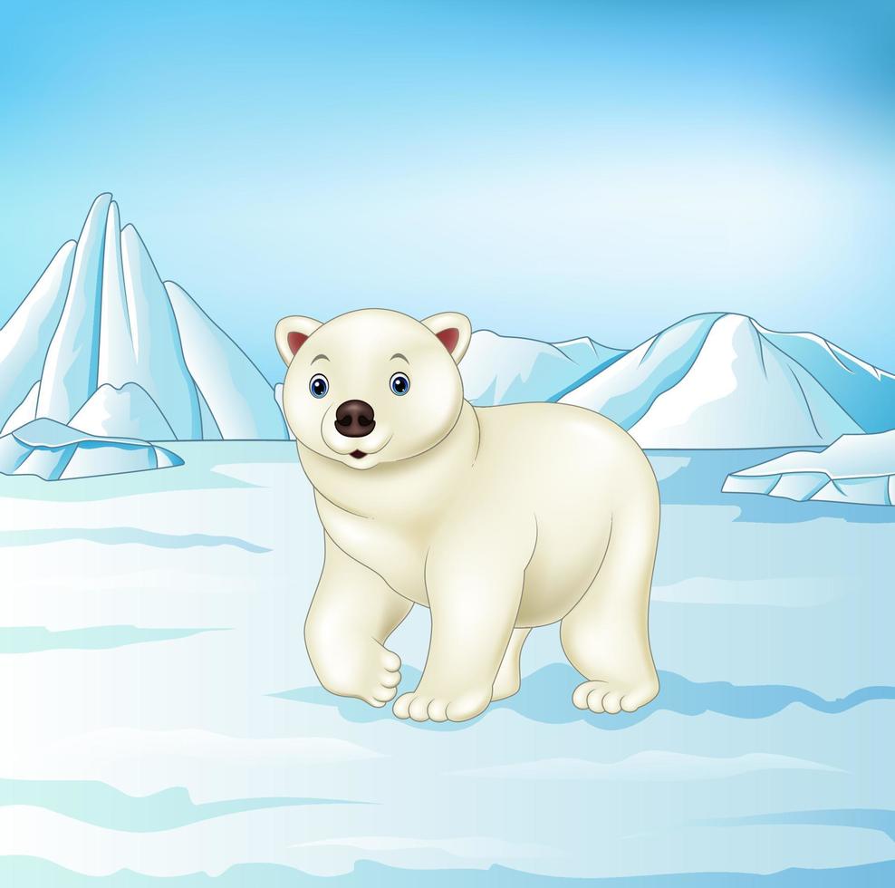 Cartoon polar bear in snowfield vector