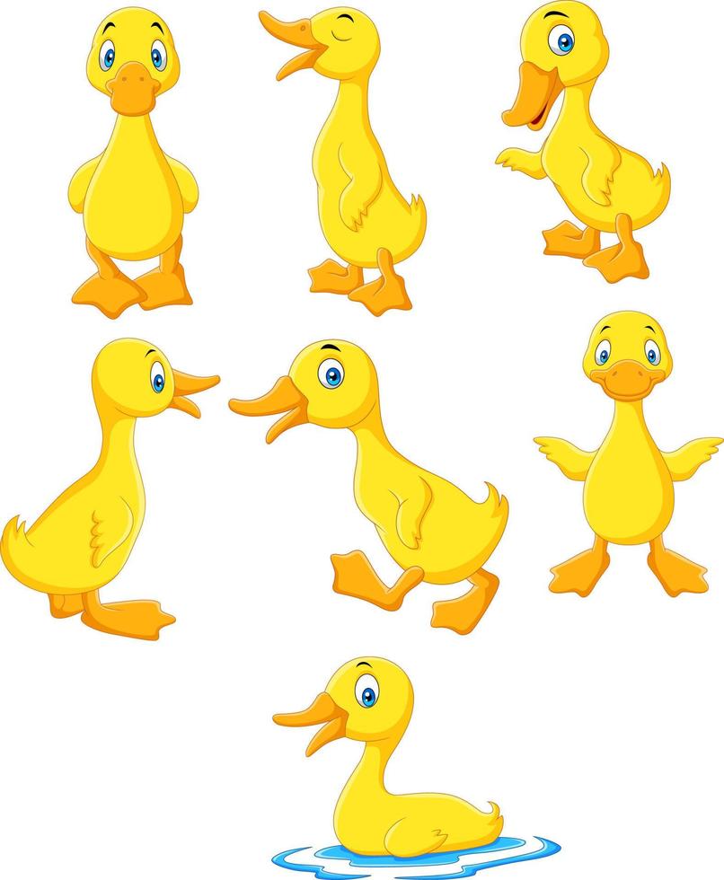 Cartoon baby duck collection set vector