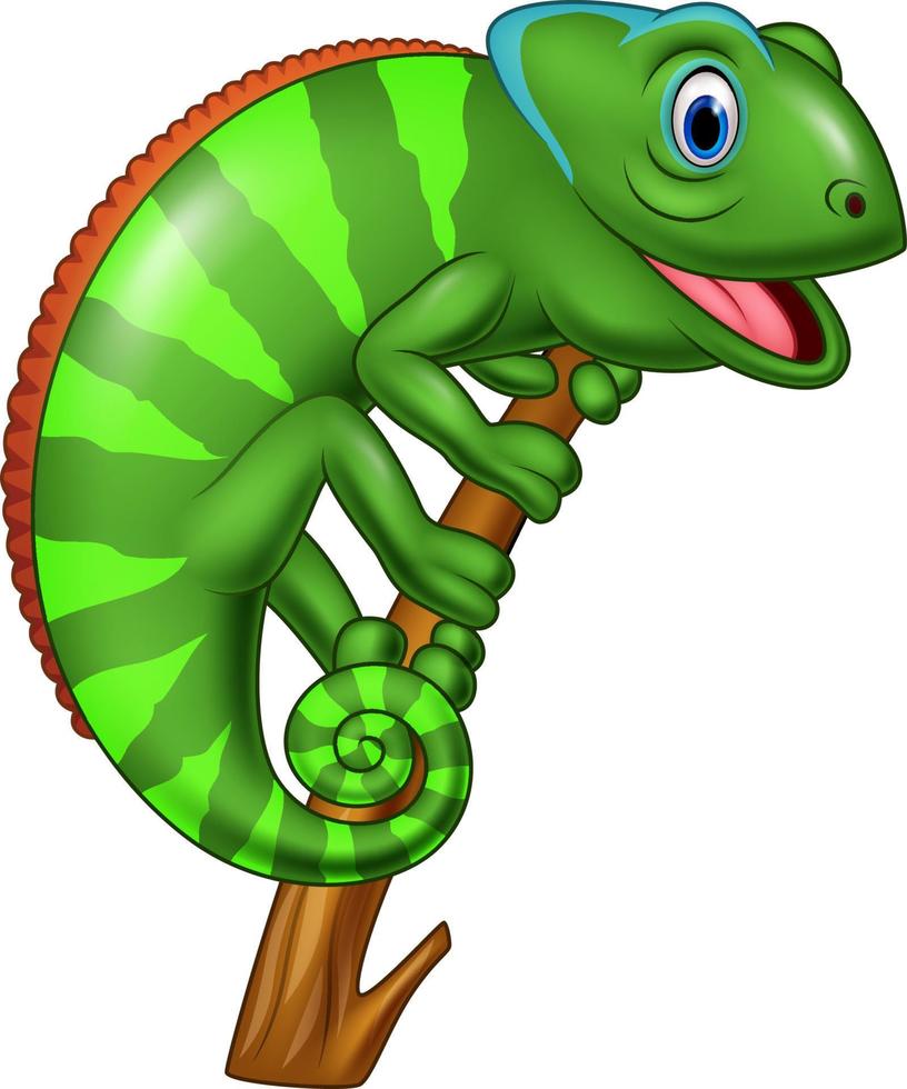 Cartoon chameleon on a branch vector