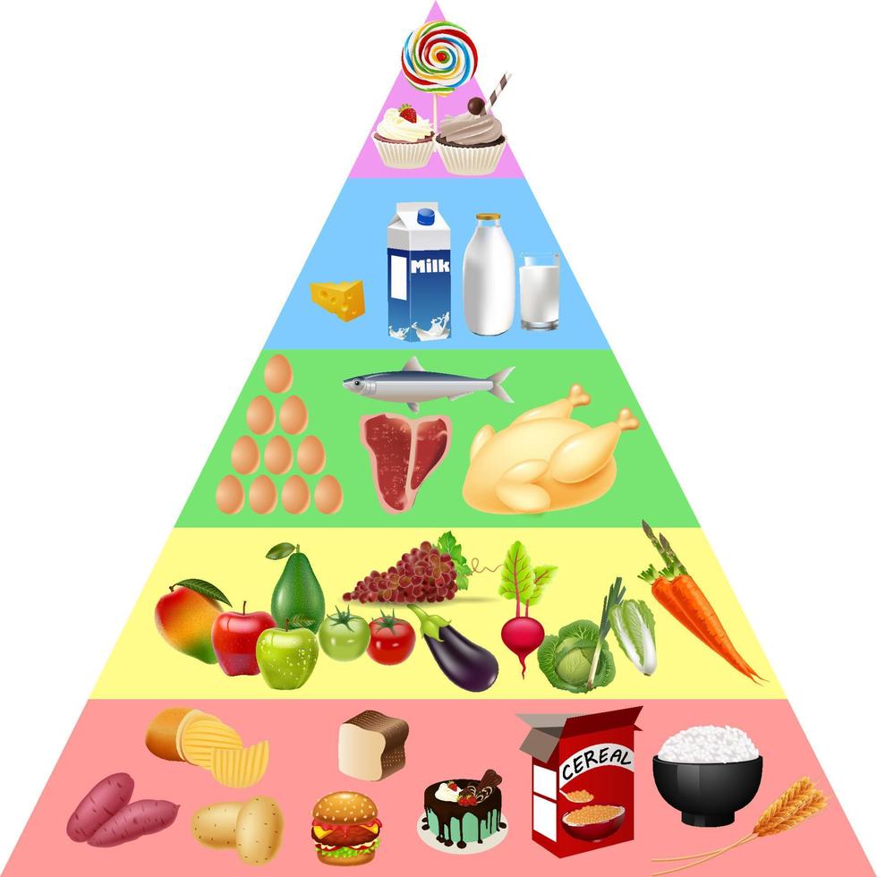 gráfico de la pirámide alimenticia vector