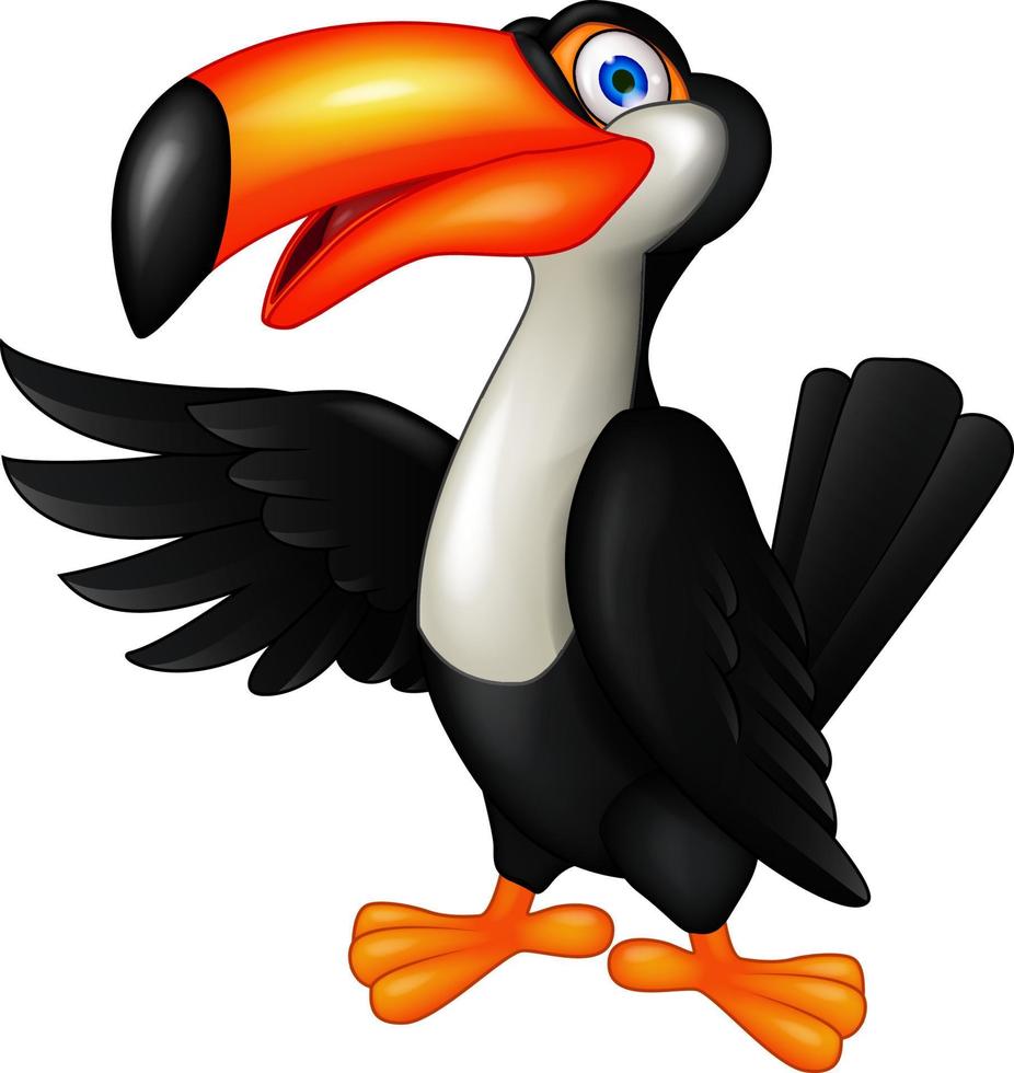 pájaro tucán divertido de dibujos animados vector