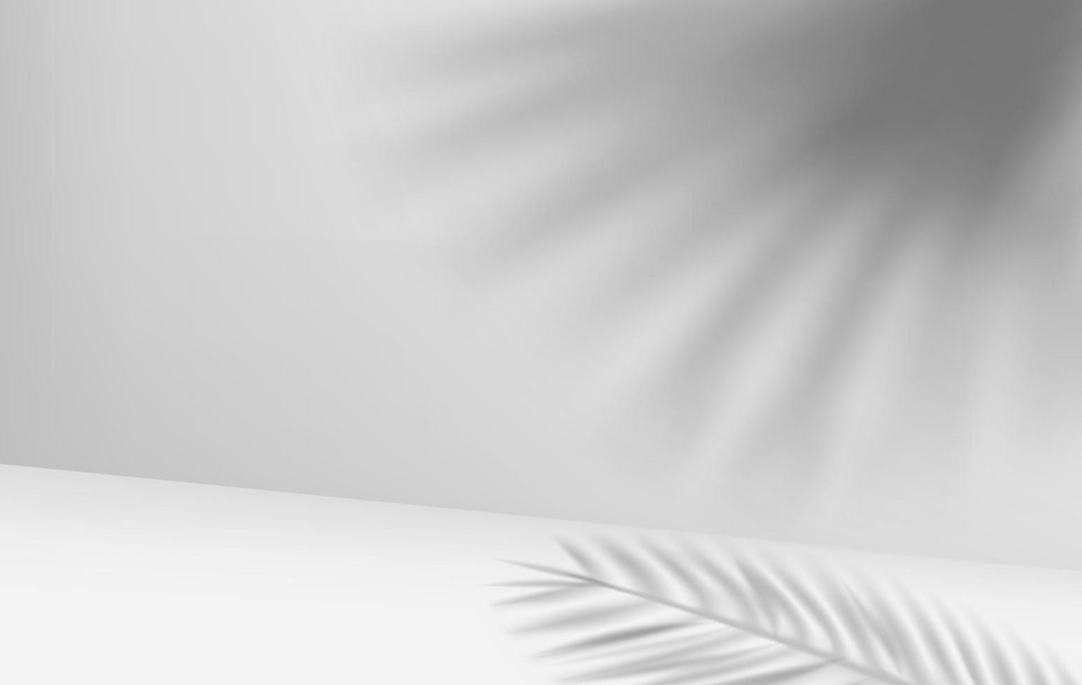 Bright room with shadow of leaves on the wall. 3d vector illustration