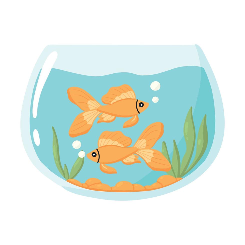 Goldfish in an aquarium. Vector illustration . Domestic fish in a round aquarium. Aquarium with algae.