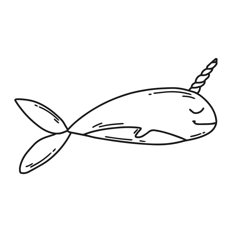 lindo narval en estilo garabato. ballena con cuerno. ilustración vectorial bebé ballena vector