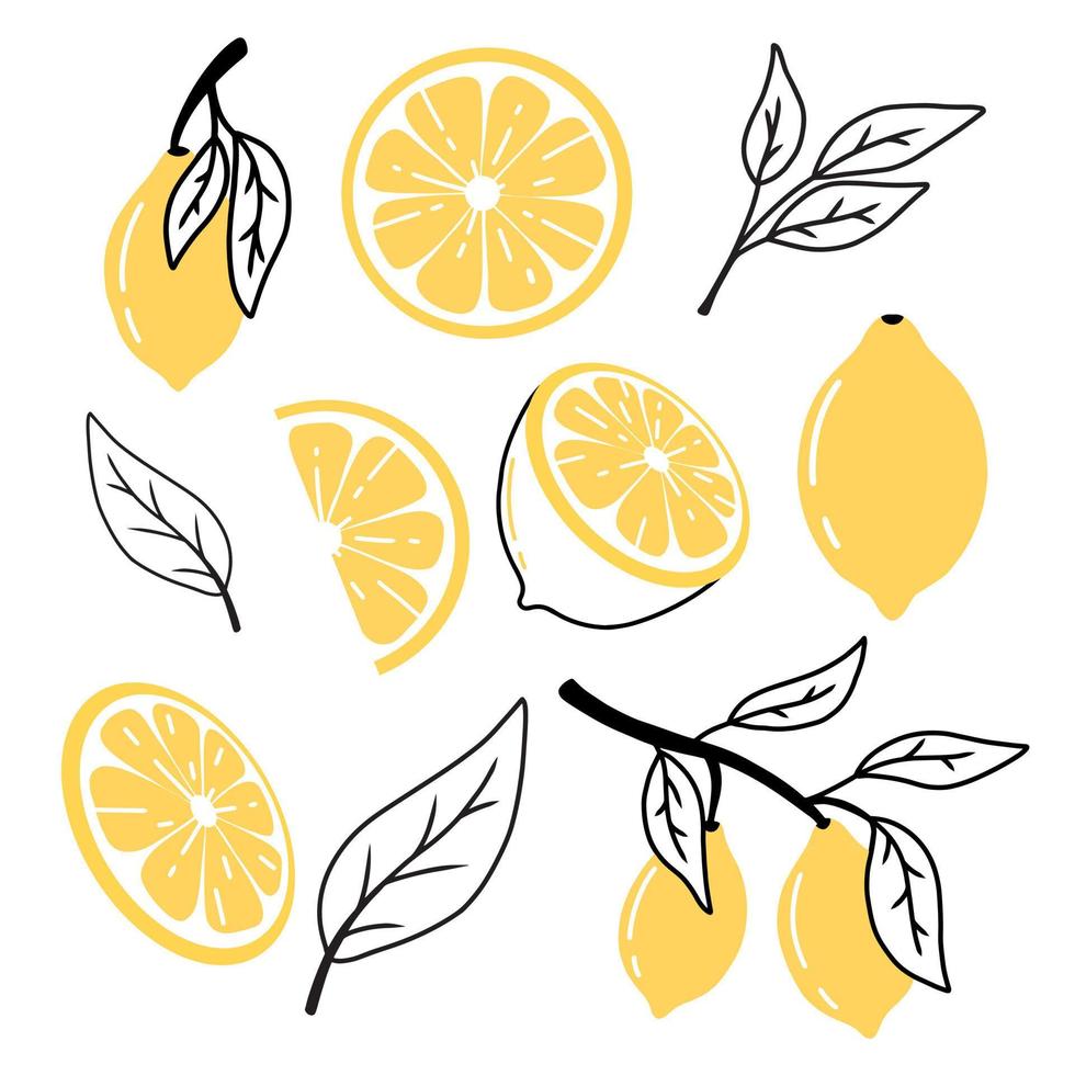 Set of lemons in doodle style. Collection of lemons on a branch, a slice of a lemon, half a lemon. Vector illustration.