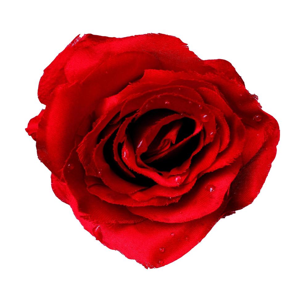 Fake rose white background photo