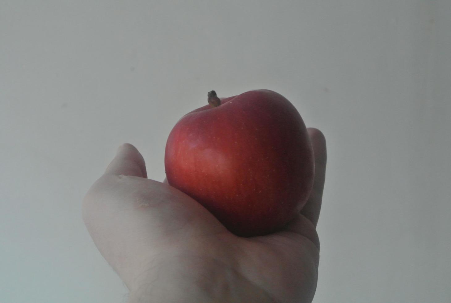 Apple in a hand photo