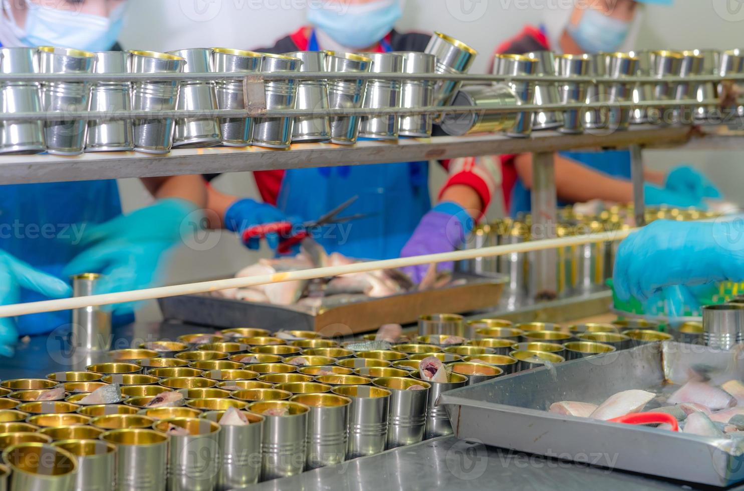 Canned fish factory. Food industry. Workers working in canned food factories to fill sardines in tinned cans. Food processing production line. Food manufacturing industry. Many can on a conveyor belt. photo