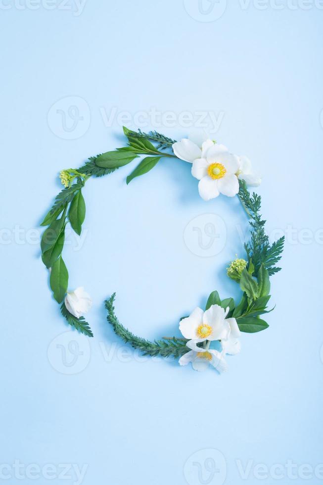 Summer or spring composition on a blue background. Anemone flowers and leaves with a copy space wreath top view. Summer, spring floral concept photo