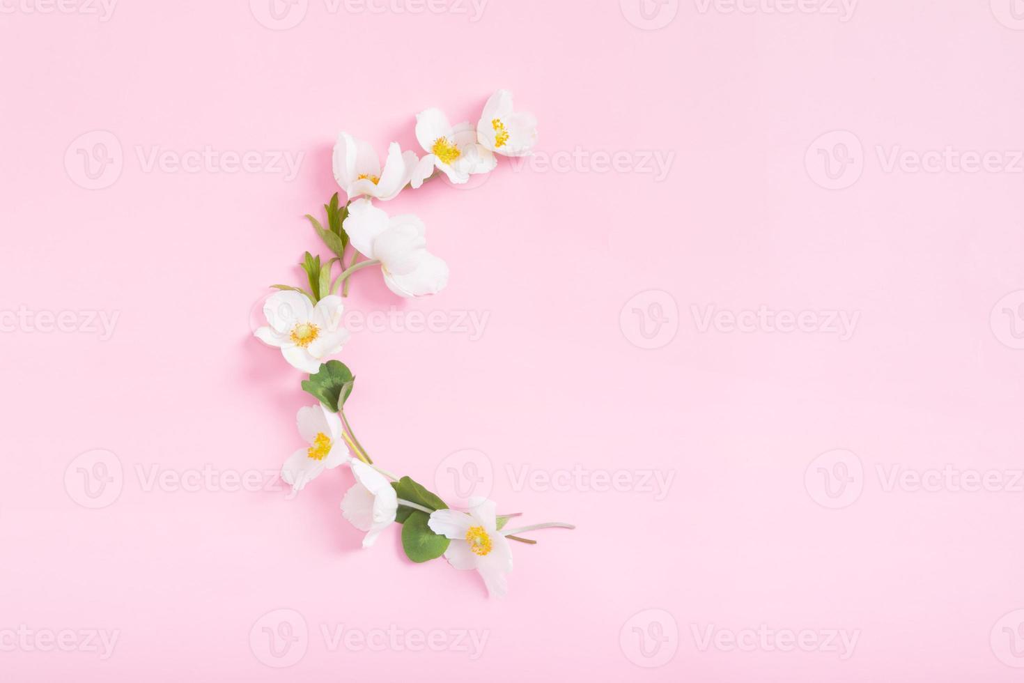 Summer or spring composition on a pink background. Anemone flowers with copy space top view. Summer, spring floral concept photo