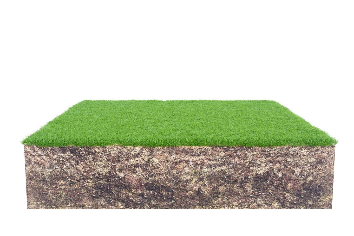 Green grass with soil land geology cross section isolated on white background, 3d render photo