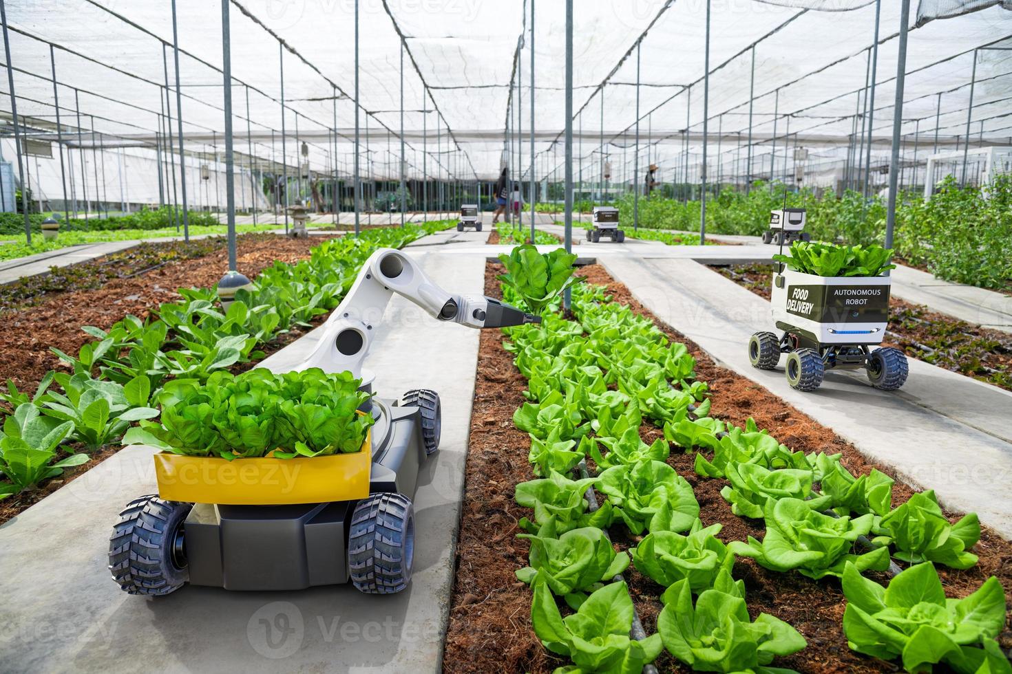 Agriculture robotic and autonomous car working in smart farm, Future 5G technology with smart agriculture farming concept photo