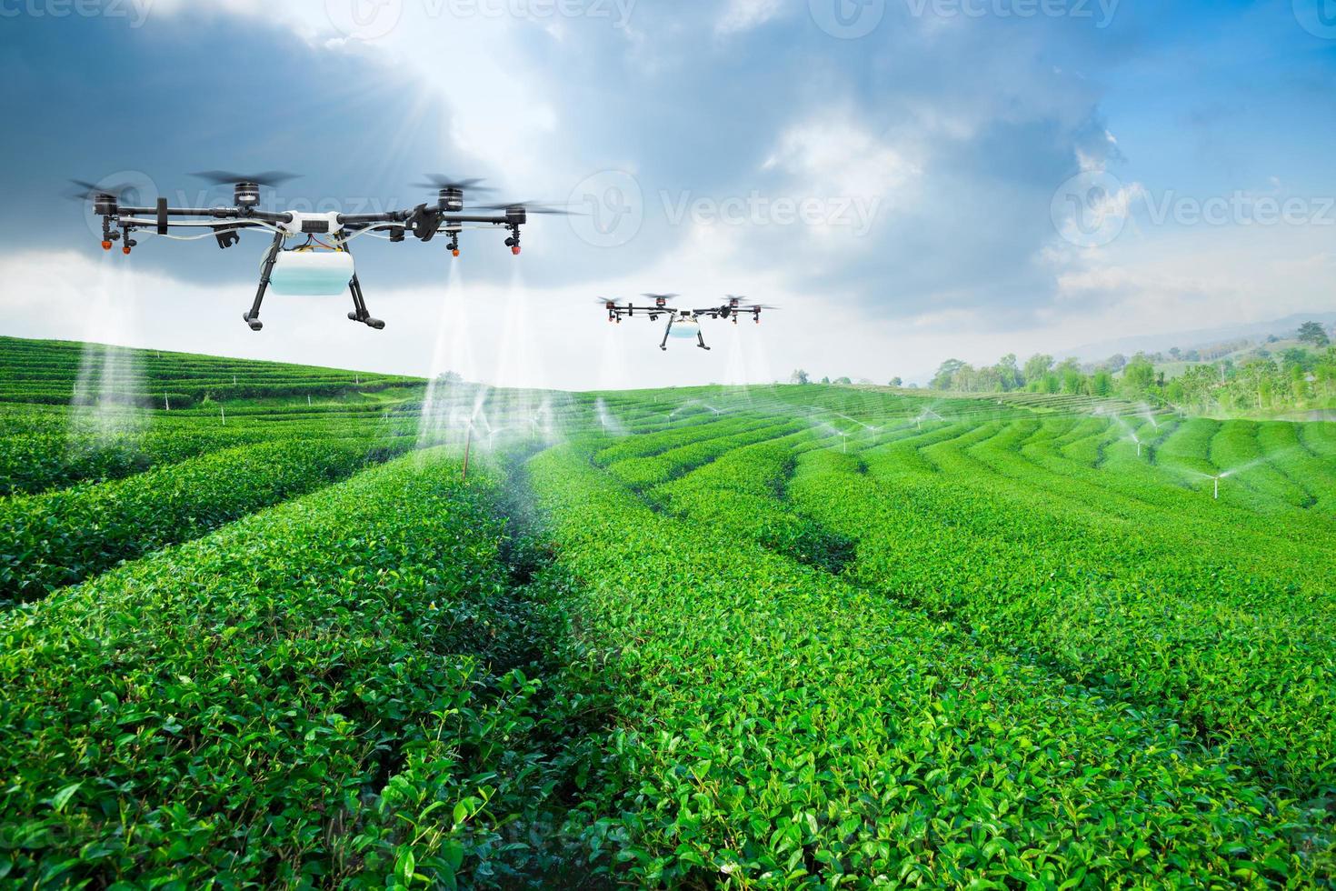 Agriculture drone fly to sprayed fertilizer on the green tea fields, Smart farm 4.0 concept photo