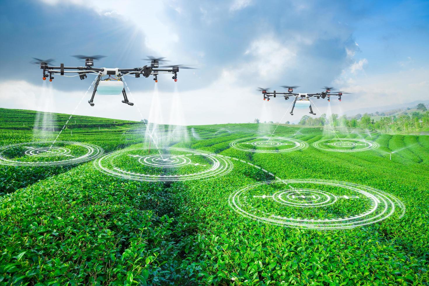 Agriculture drone scanning area to sprayed fertilizer on green tea fields, Technology smart farm 4.0 concept photo