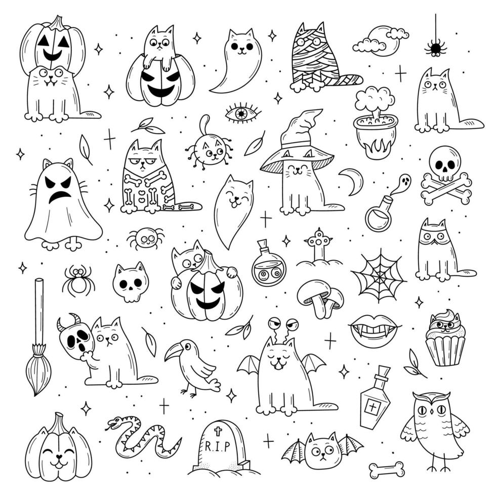 conjunto de elementos para halloween. objetos místicos de miedo. gatos, calabazas, fantasmas, poción. ilustración de estilo garabato vector