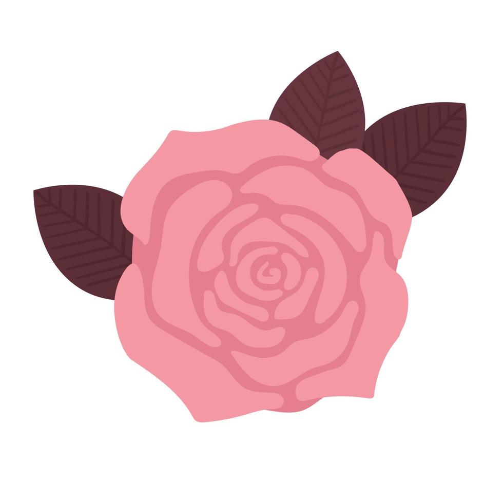 Beautiful delicate flower, rose with leaves. Hand drawn vector illustration.