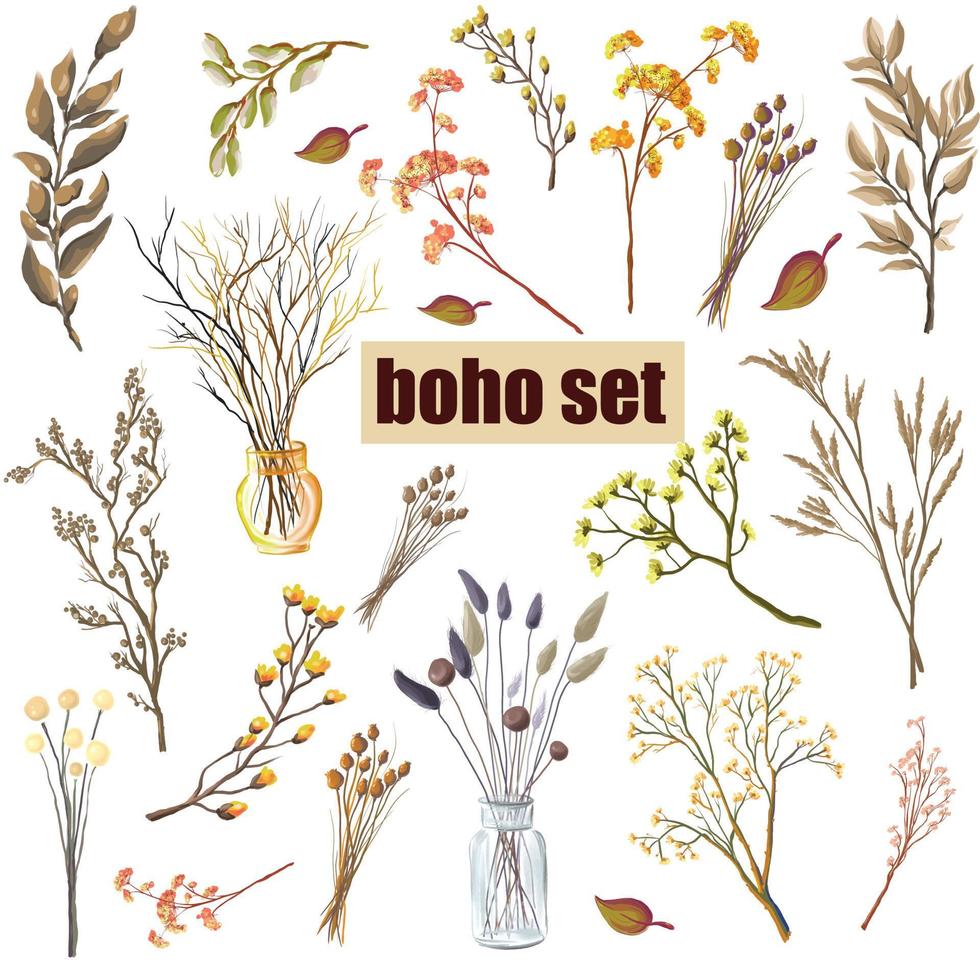 conjunto de plantas y flores en estilo boho. hierbas y flores silvestres secas. vector aislado