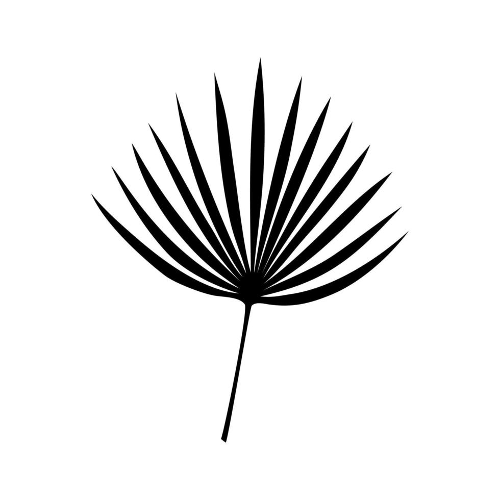 Black silhouette tropical chamaerops leaf. Palm leaf. Simple vector illustration.