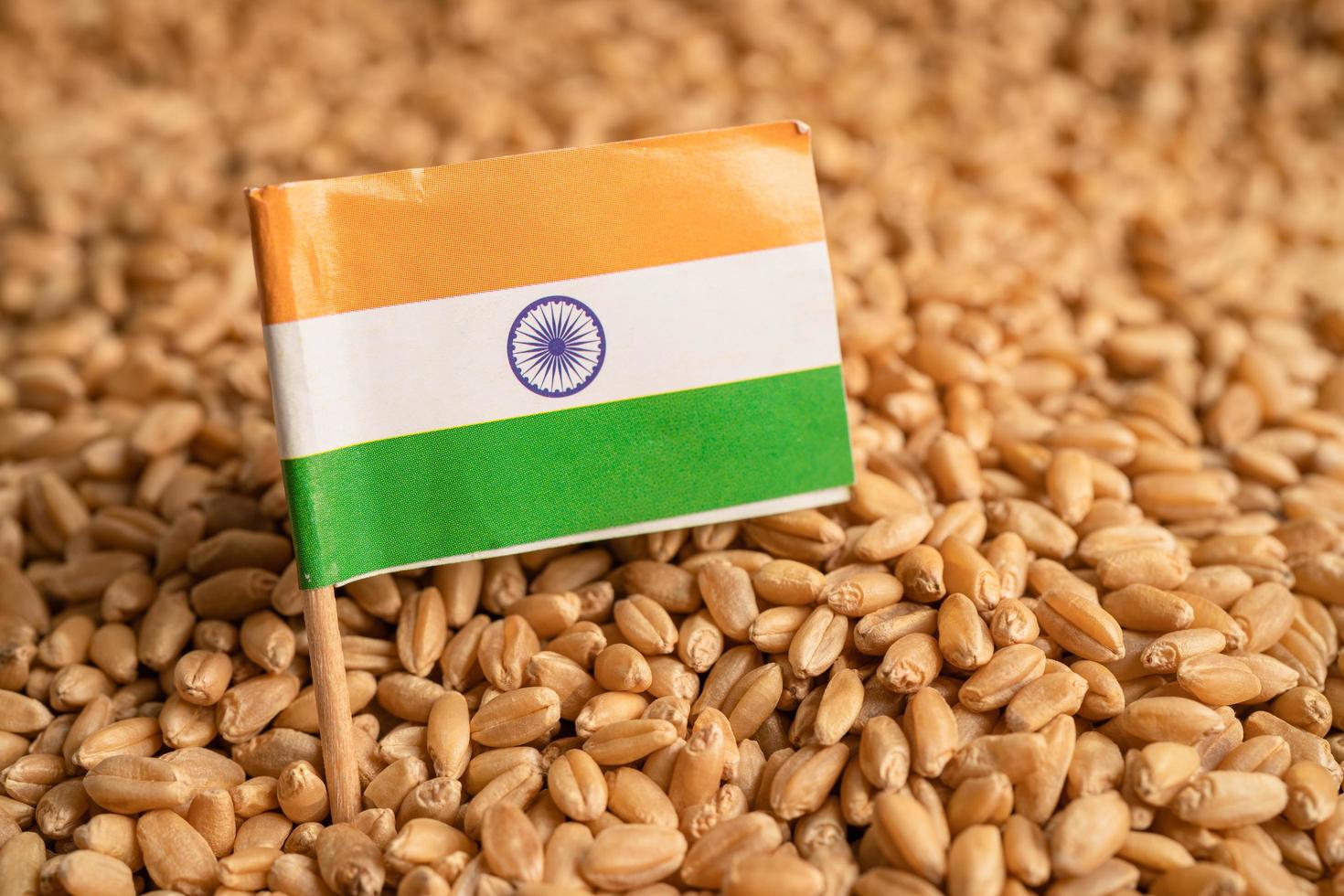 Grains wheat with India flag, trade export and economy concept. photo