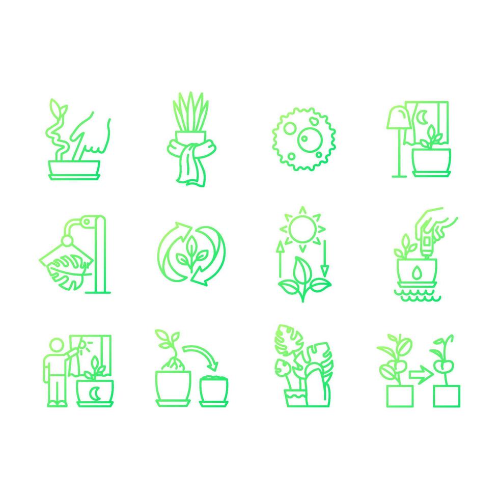 cuidado de las plantas de interior conjunto de iconos de vector lineal de gradiente de gradiente. plantas en macetas creciendo. correcto riego y luz. paquete de diseños de símbolos de contorno de línea delgada. colección de ilustraciones de contorno aislado