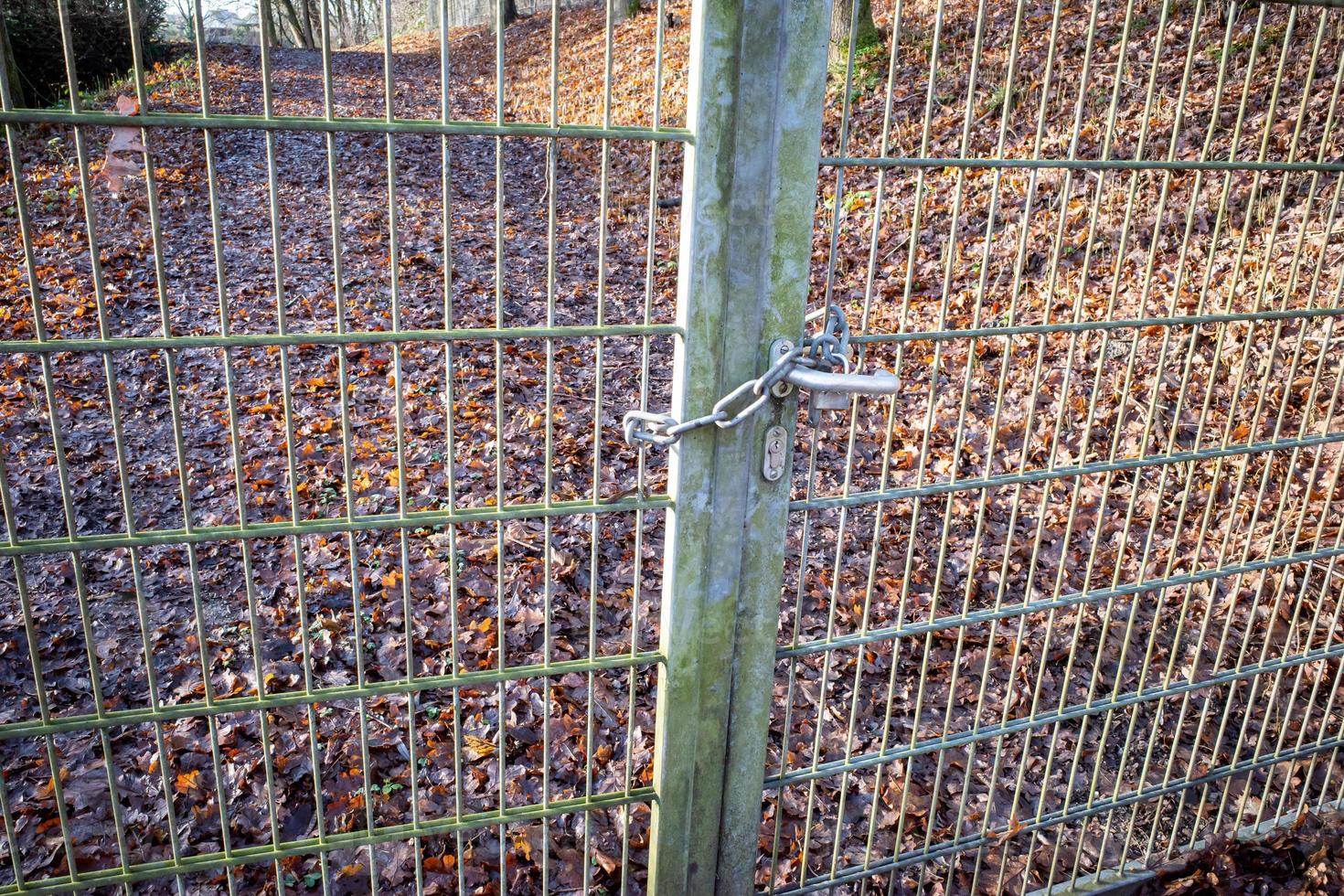 Fence between meadow and path photo