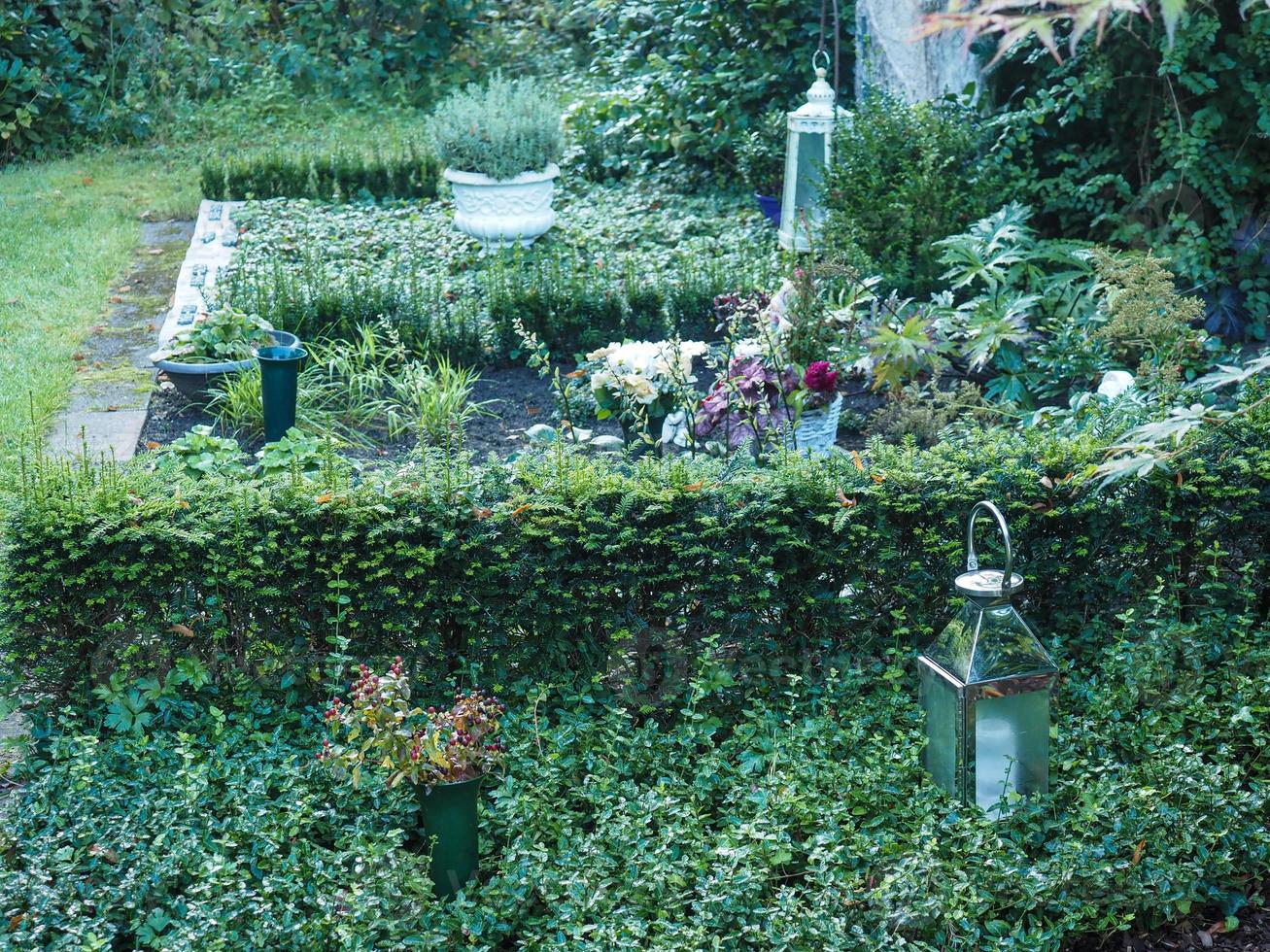 Grave decoration with candle and flowers photo