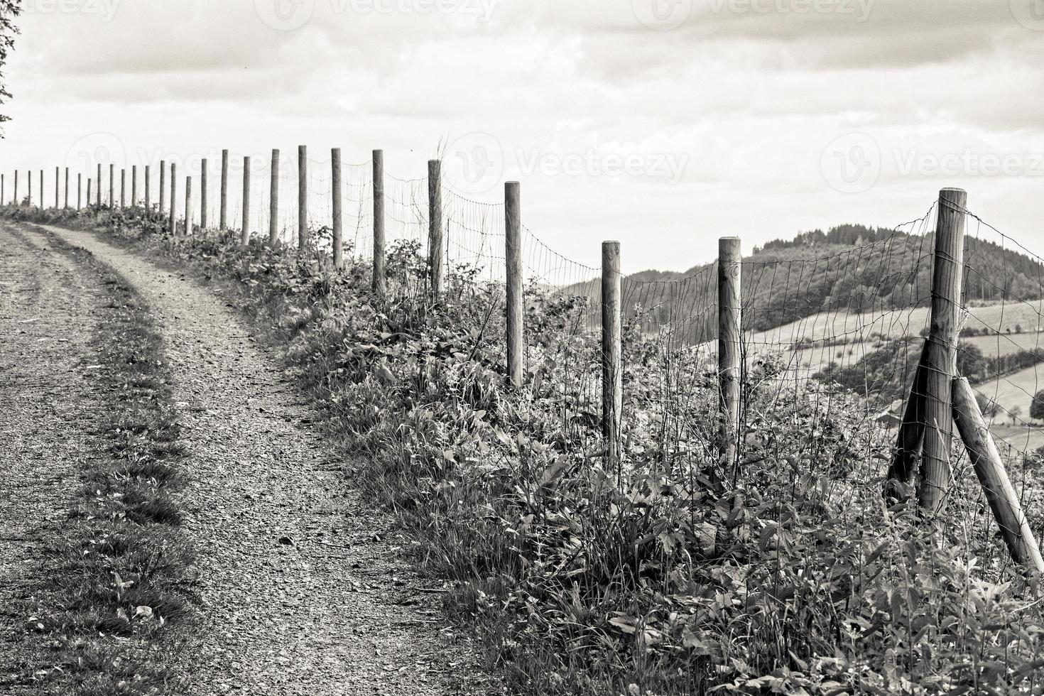 Grayscale shot of small path with meadow and fence photo
