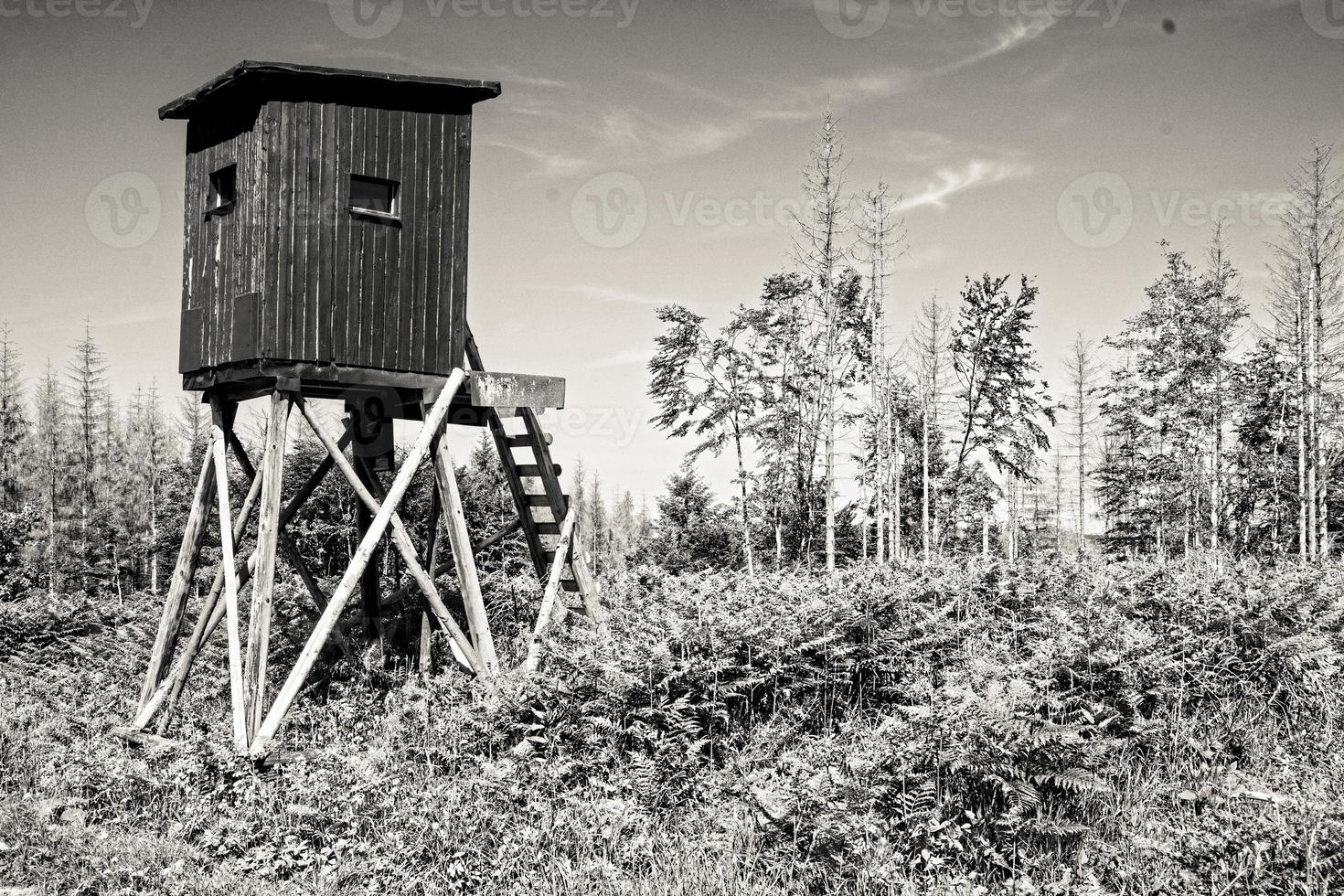 grayscale shot of a wooden ladder stand for hunting in the landscape photo