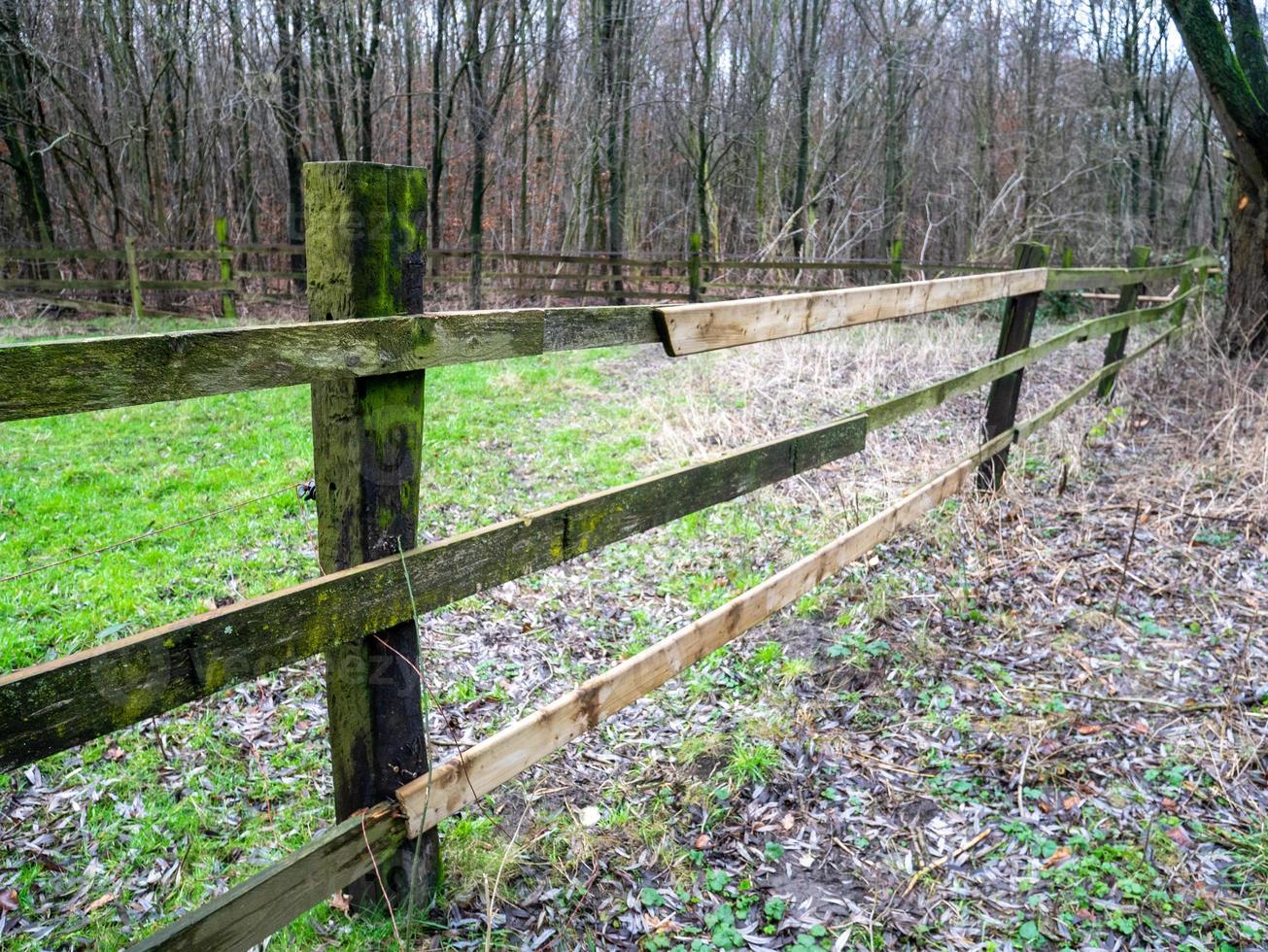 Fence between meadow and path photo