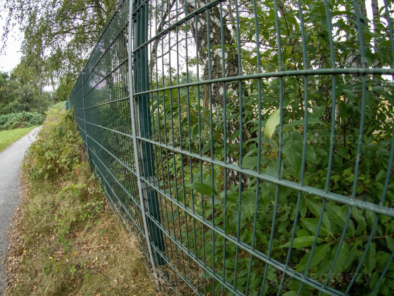 Fence between meadow and path photo