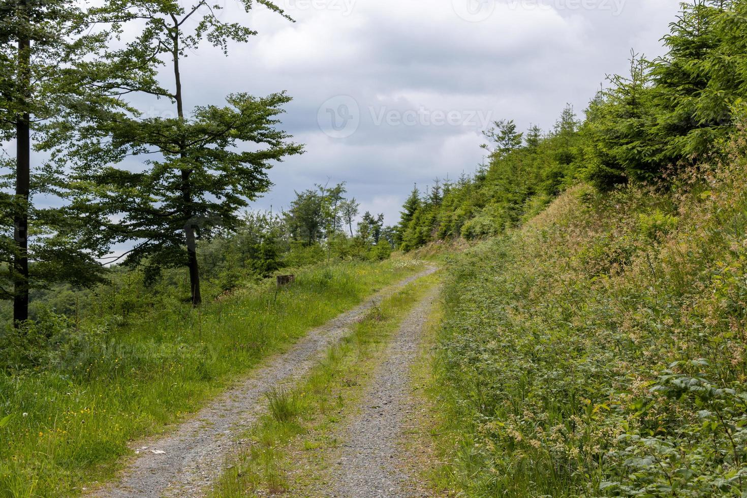 road in the landscape photo