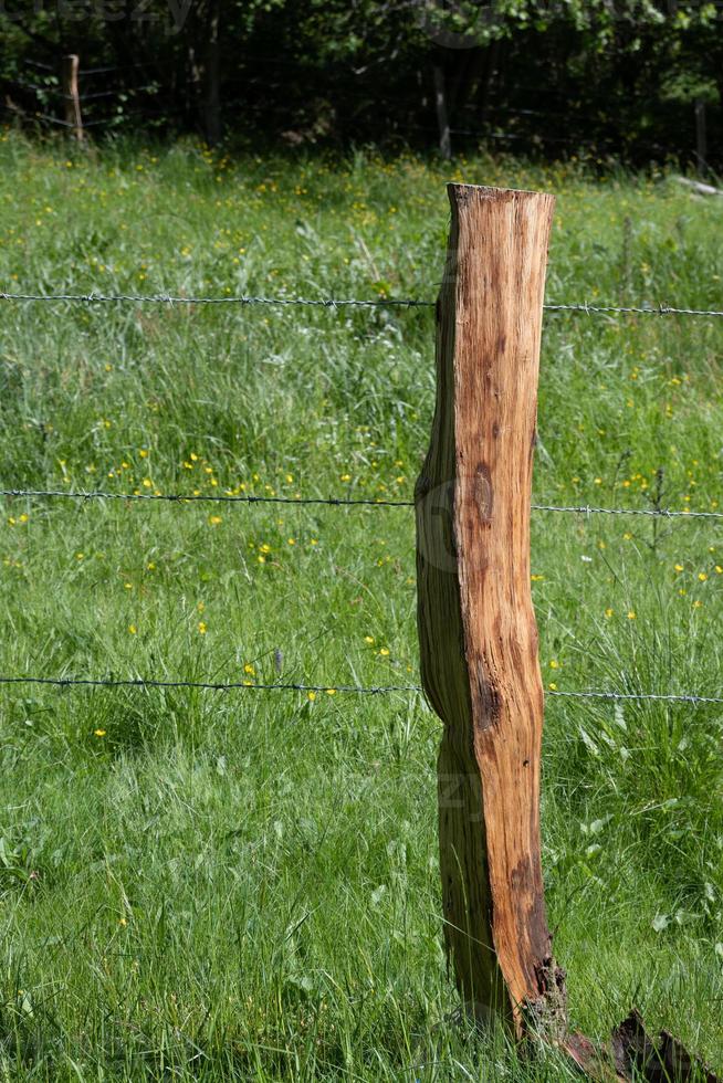 fence with wooden pole photo