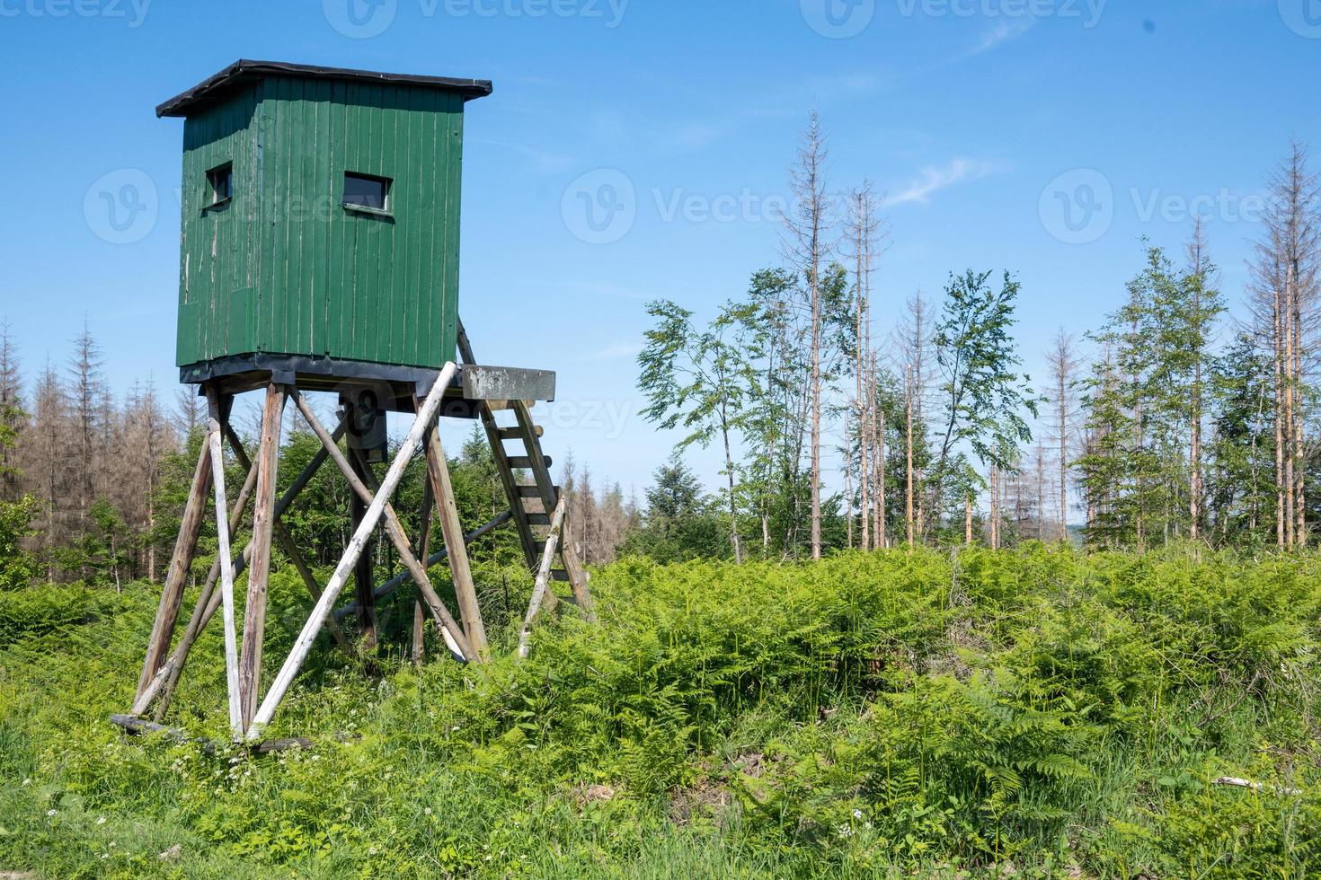 wooden ladder stand for hunting in the landscape photo