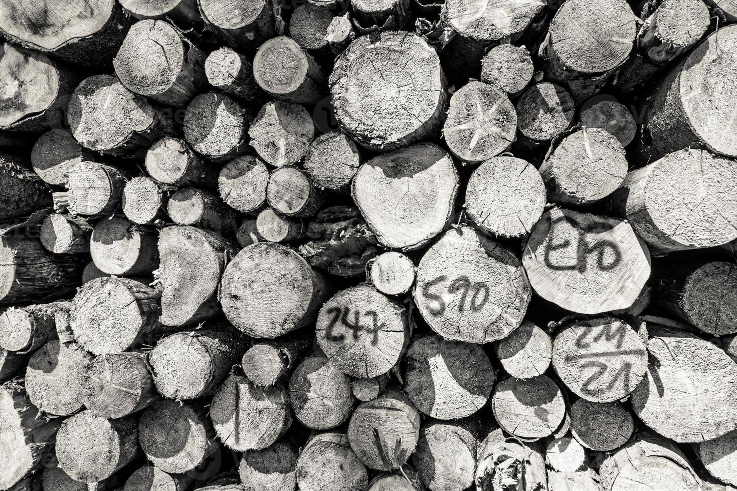 toma en escala de grises de una hermosa vista de la pila de madera de abeto aserrada foto