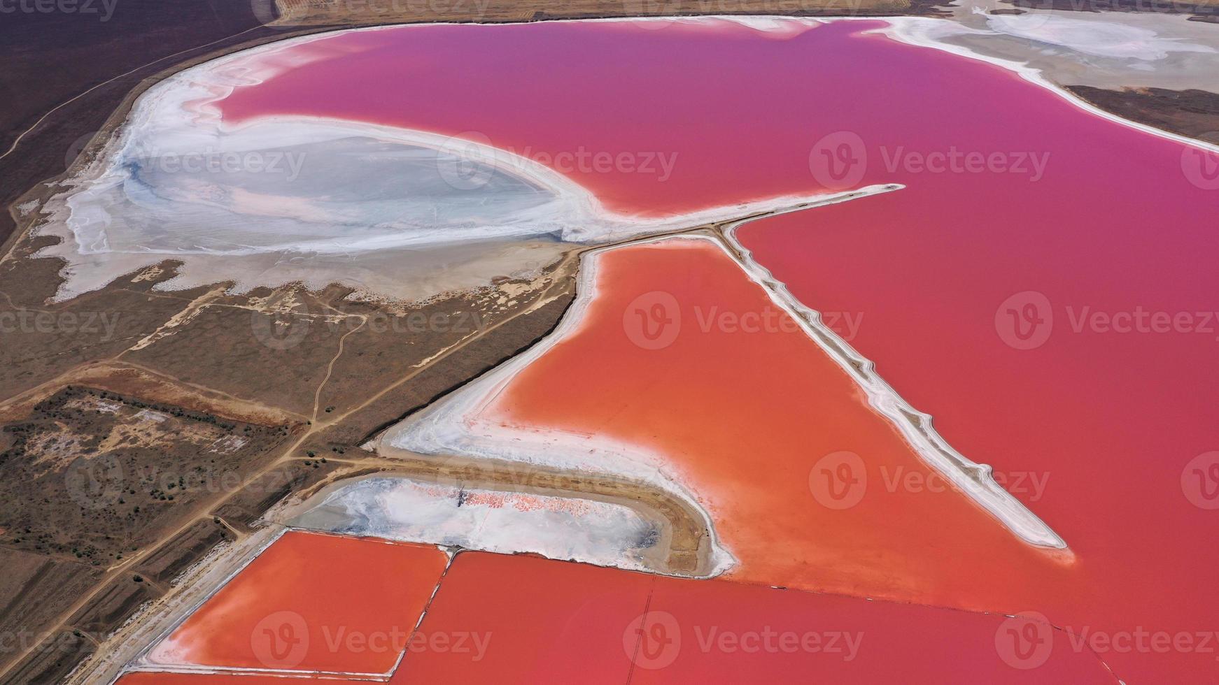 Aerial drone top down photo of a natural pink lake and coast Genichesk, Ukraine. Lake naturally turns pink due to salts and small crustacean Artemia in the water. This miracle is rare