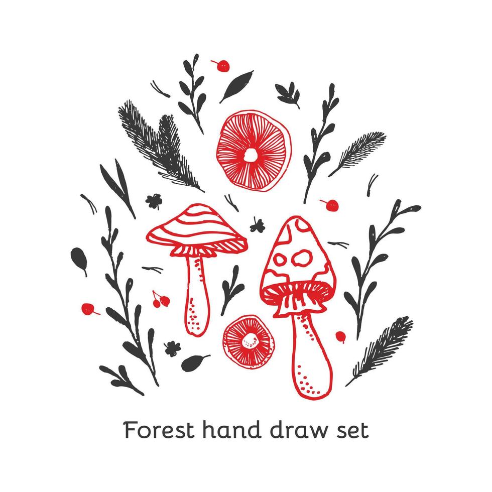 Fly agaric and cranberries, spruse brunch hand drawn line art vector set. Amanita muscaria vector set for printing, fabric, textile, manufacturing, wallpapers