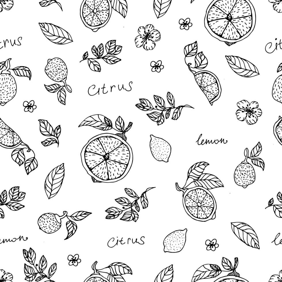 Lemon hand draw seamless pattern background wallpaper. Cute seamless pattern with lemons. Vector seamless pattern with lemon, leaves and flower. Citrus line seamless background.