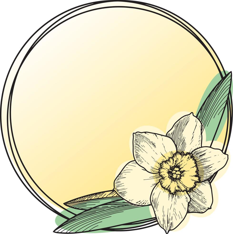 Vector illustration. A round card with an empty space for insertion. Delicate narcissus flower with leaves