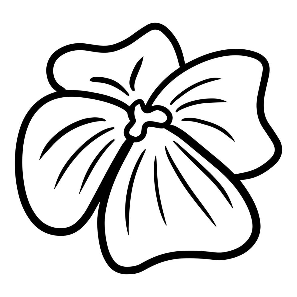 Simple viola bud, Tropical flower, monochrome botanical vector illustration on white background