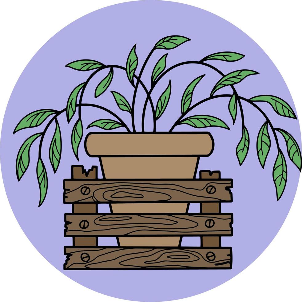 Tradescantia houseplant grows in a brown ceramic pot, vector illustration on a transparent background