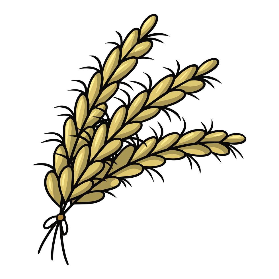 Several yellow ripe ears, rye cereals, vector cartoon illustration on a white background