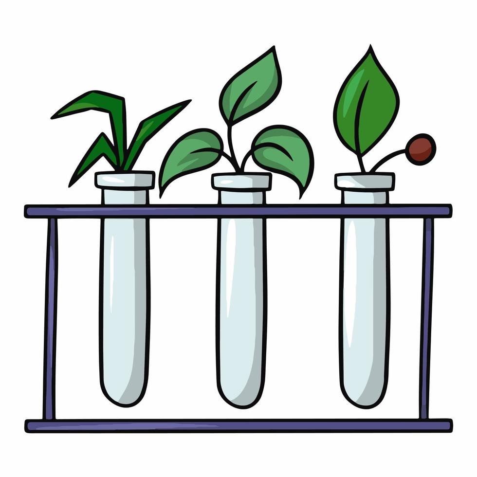 Biological experiment with plants, glass test tubes on a stand, vector cartoon illustration on a white background