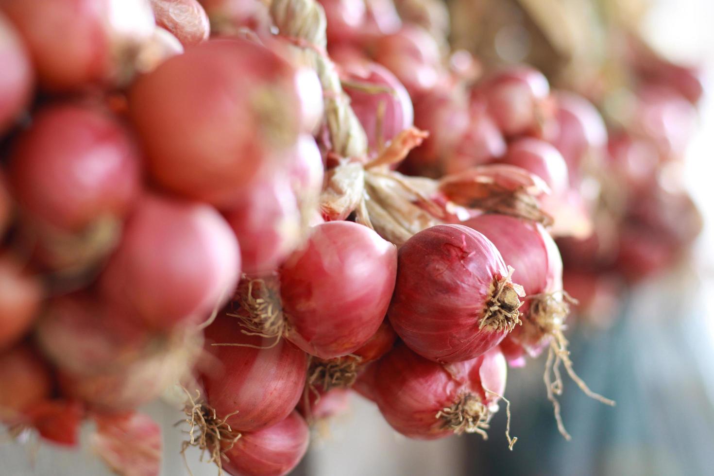 Raw shallot for cooking. Thai food. Thai herbs photo